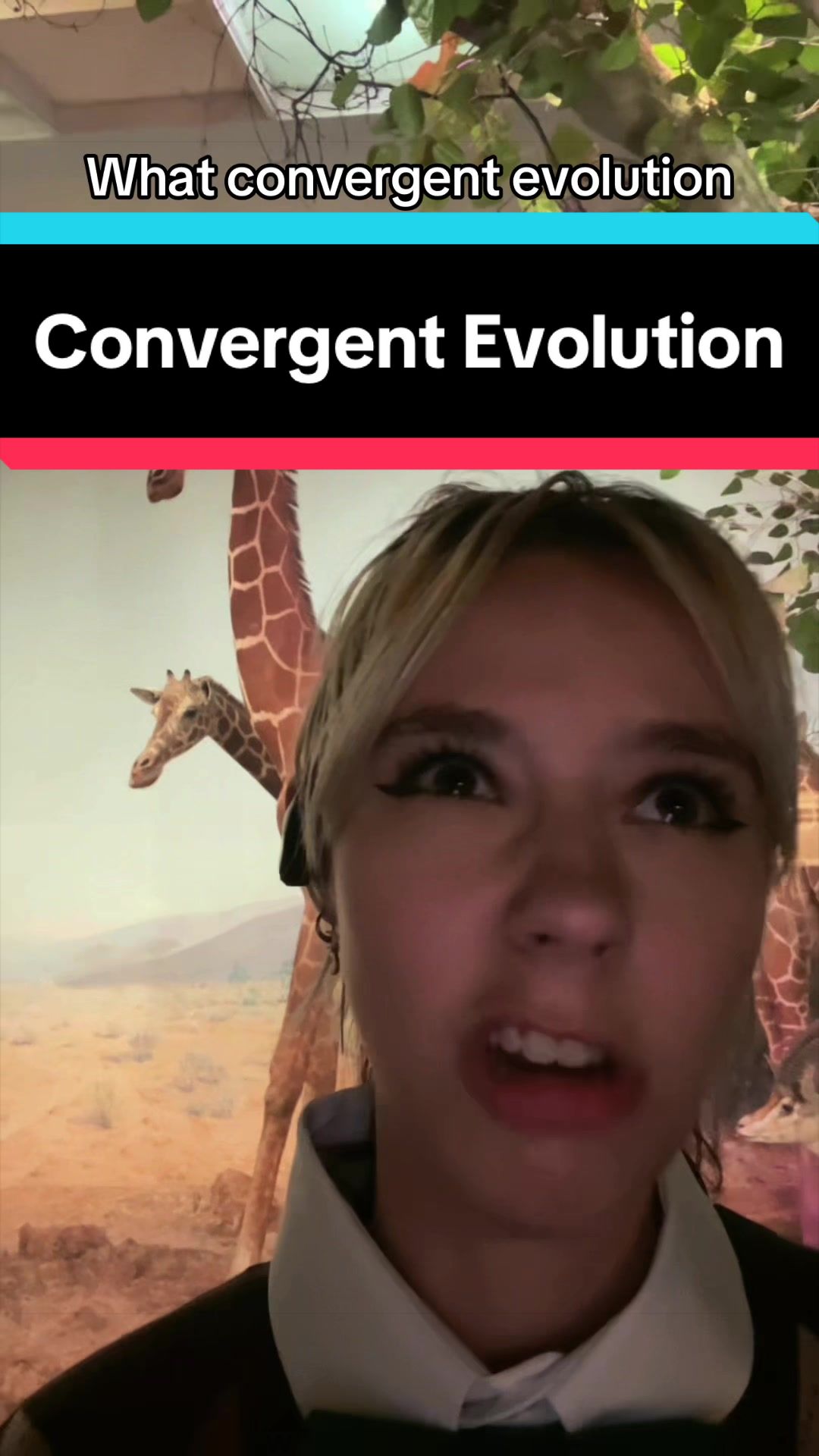 @ForeverNPC
