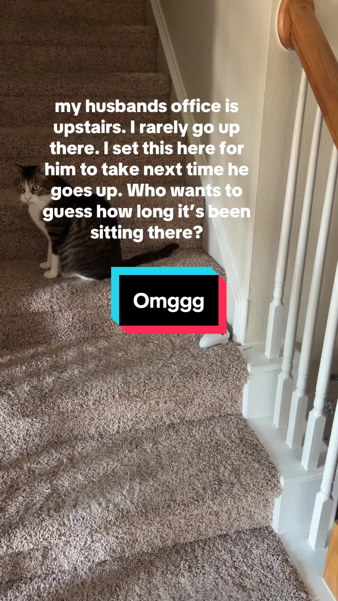 @Melvici