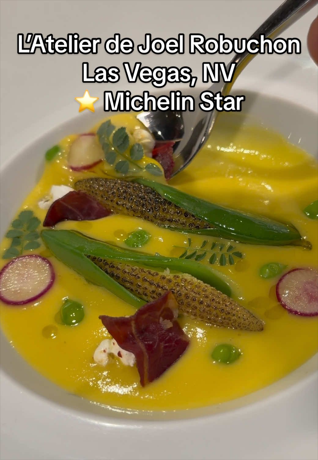 @High Speed Dining