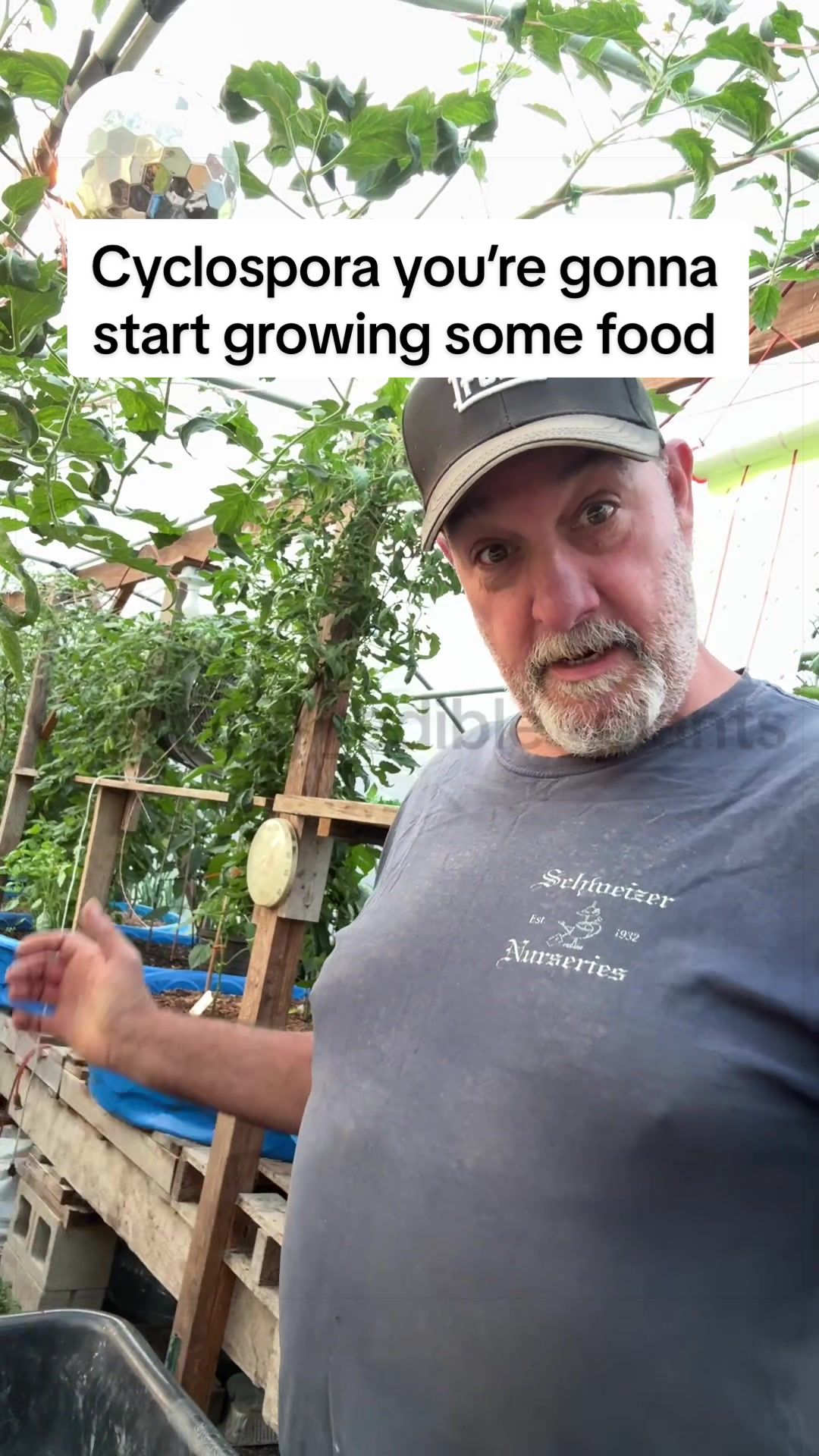 @GROWING_EDIBLE_PLANTS