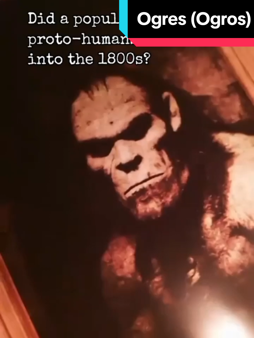 @AlexCalvoIsHaunted