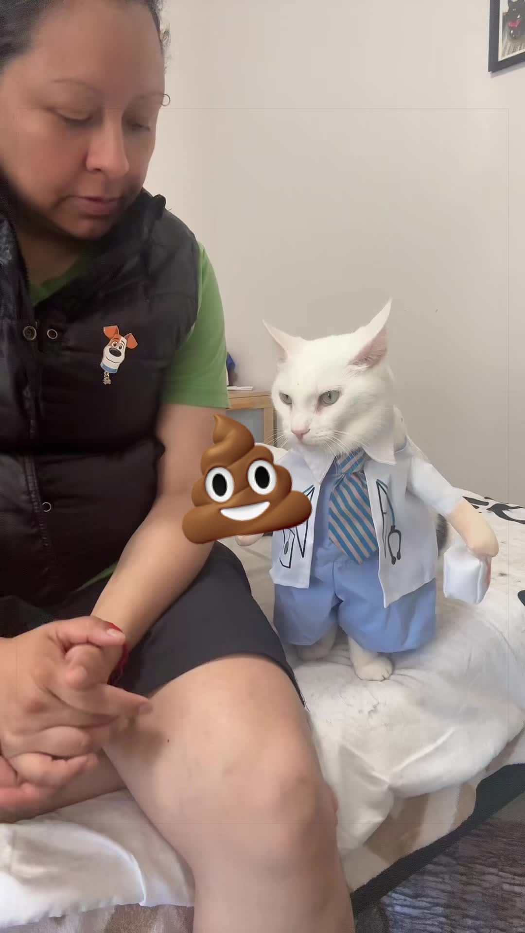 @🦖 MEOWassic CAT😺