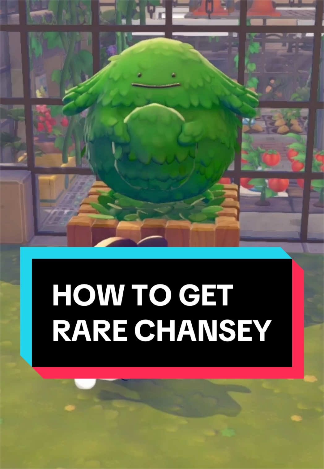 @PKMNcast