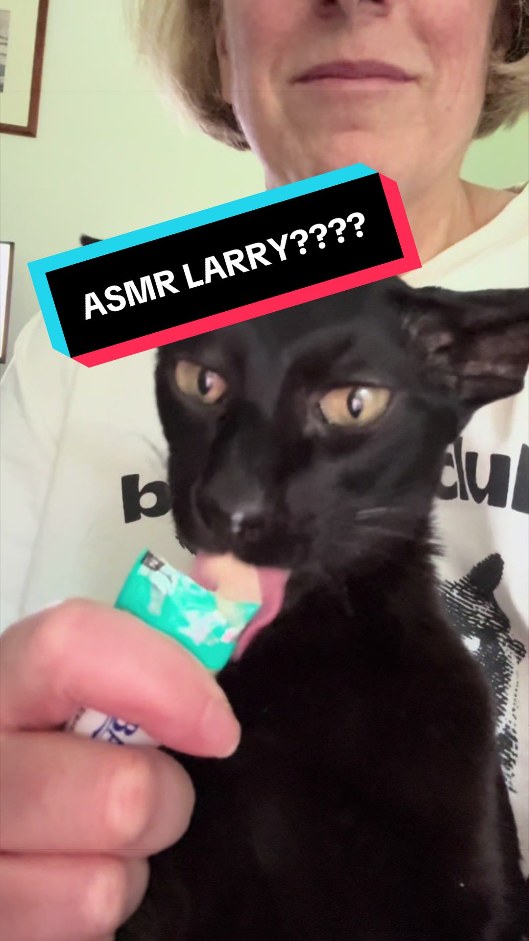 @hobbikats