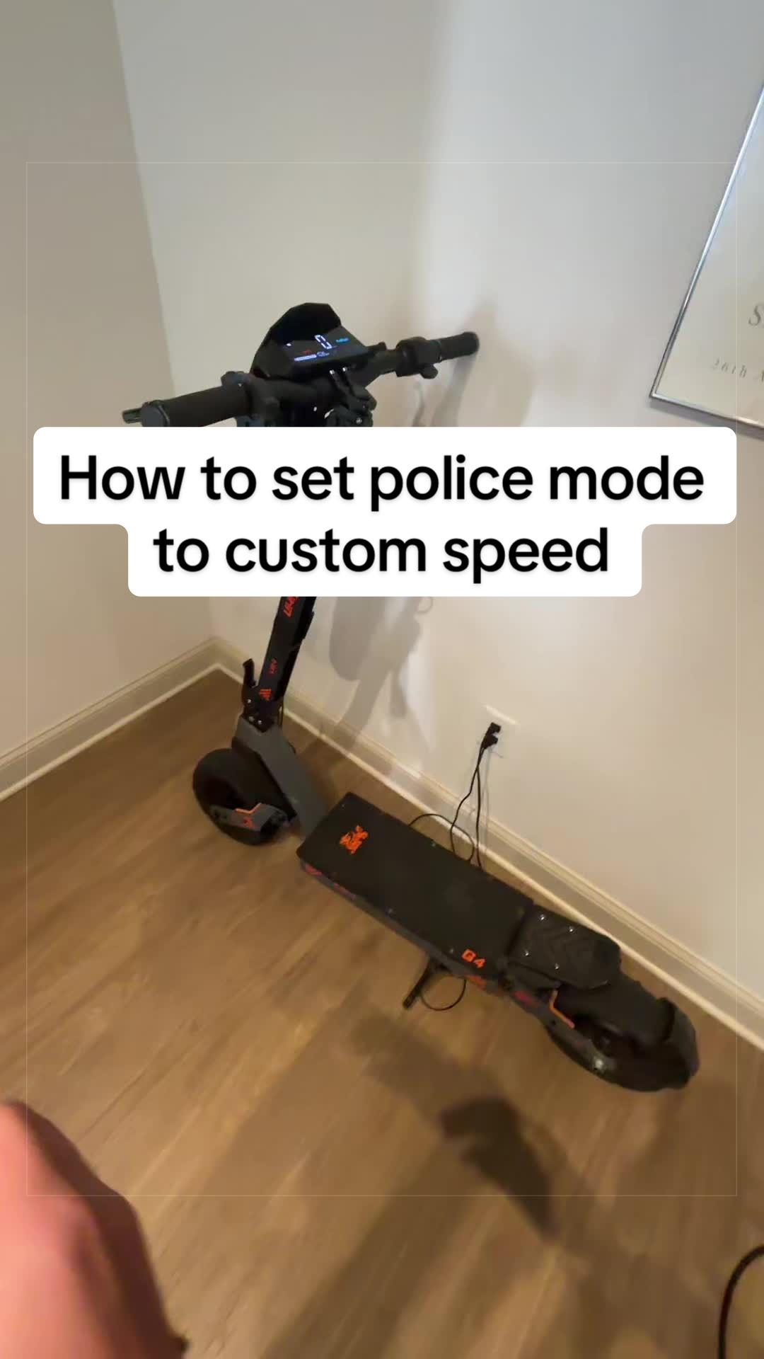 @Legal Moto Dealer
