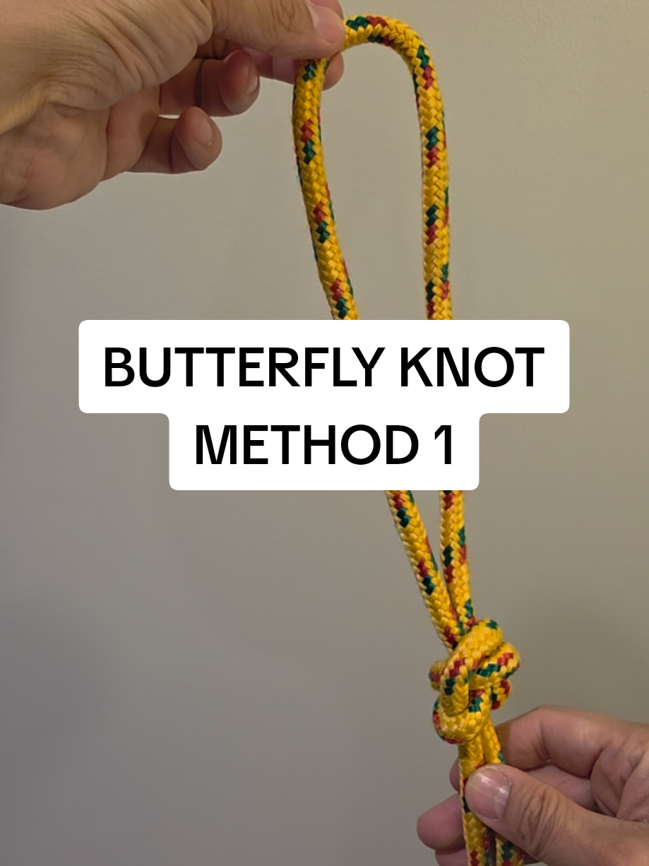 @knotsaurus