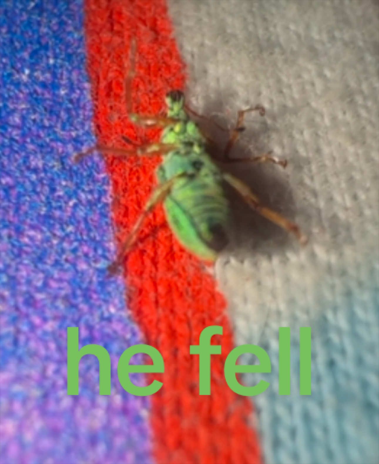 @𝐚𝐯𝐚