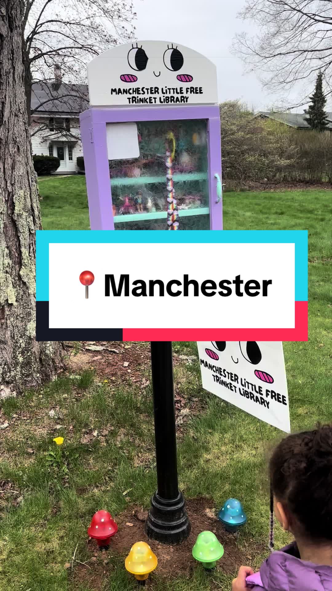 @themushuganatoddler_ct