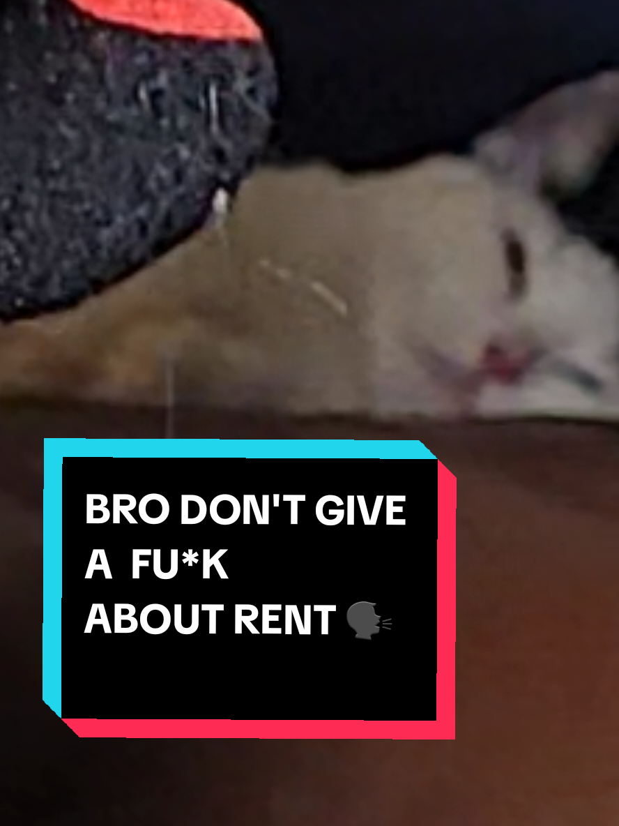 @BearNinjaSquad