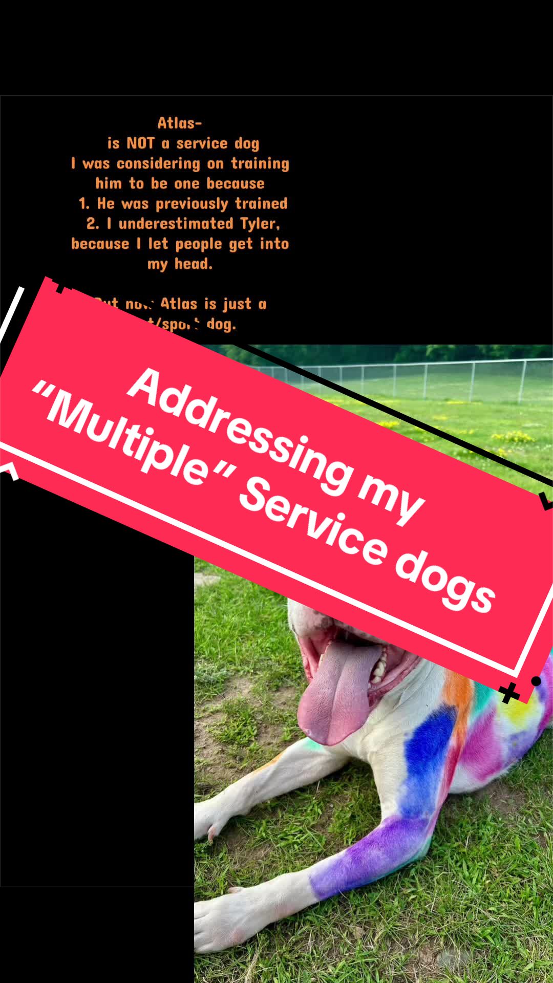 @Upsidedown&Above_corgis