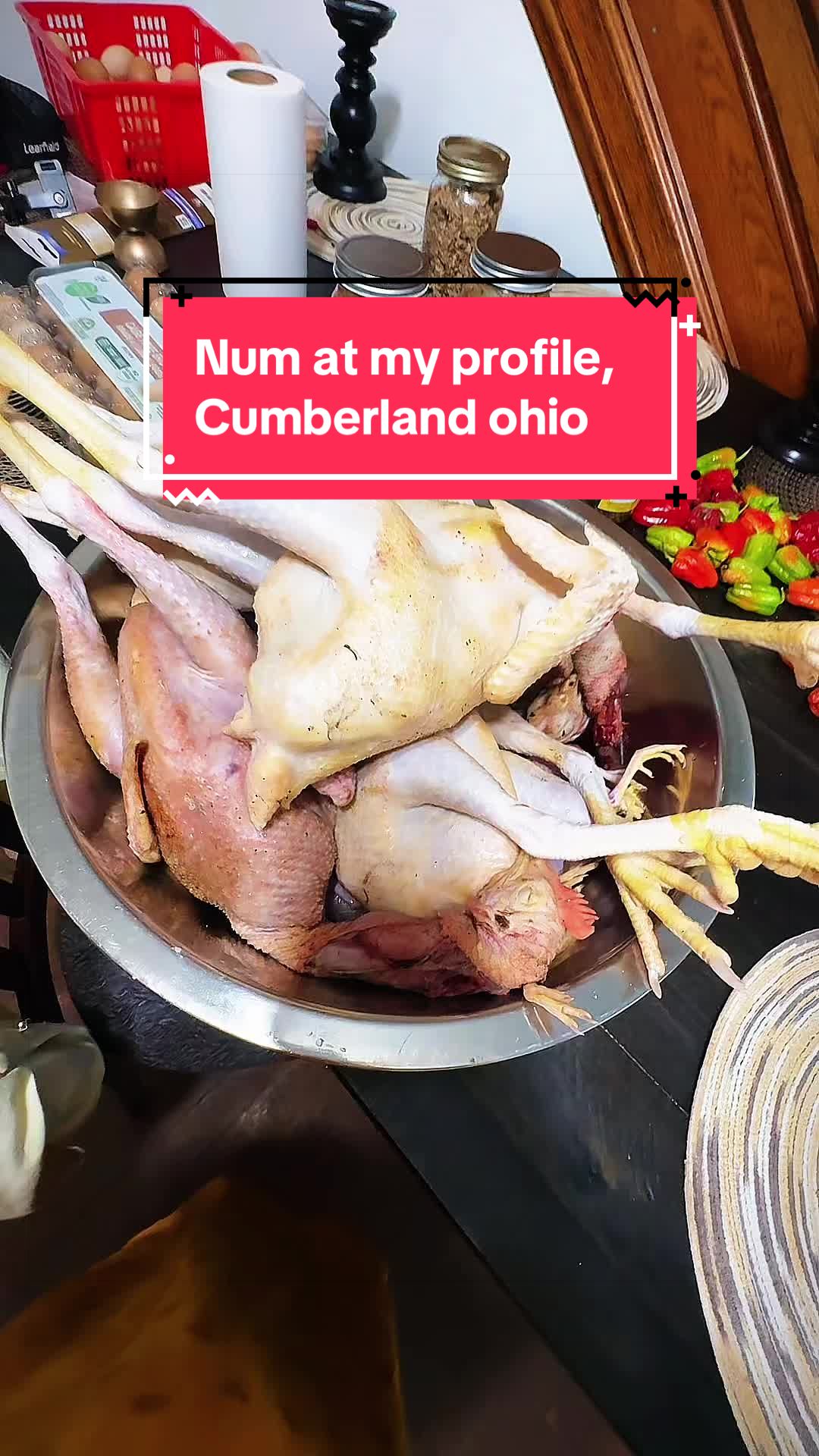 @Bishandra