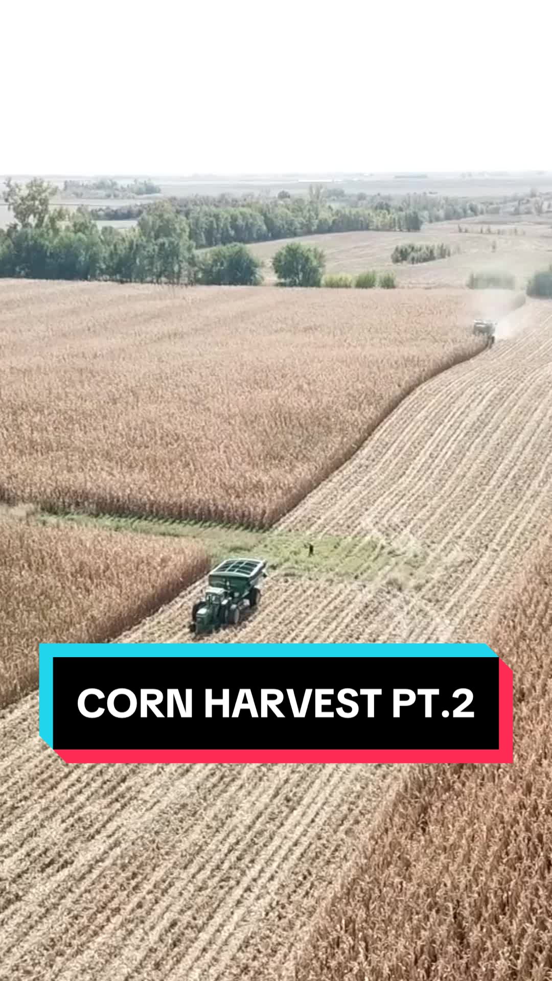 @Hilbert Farms