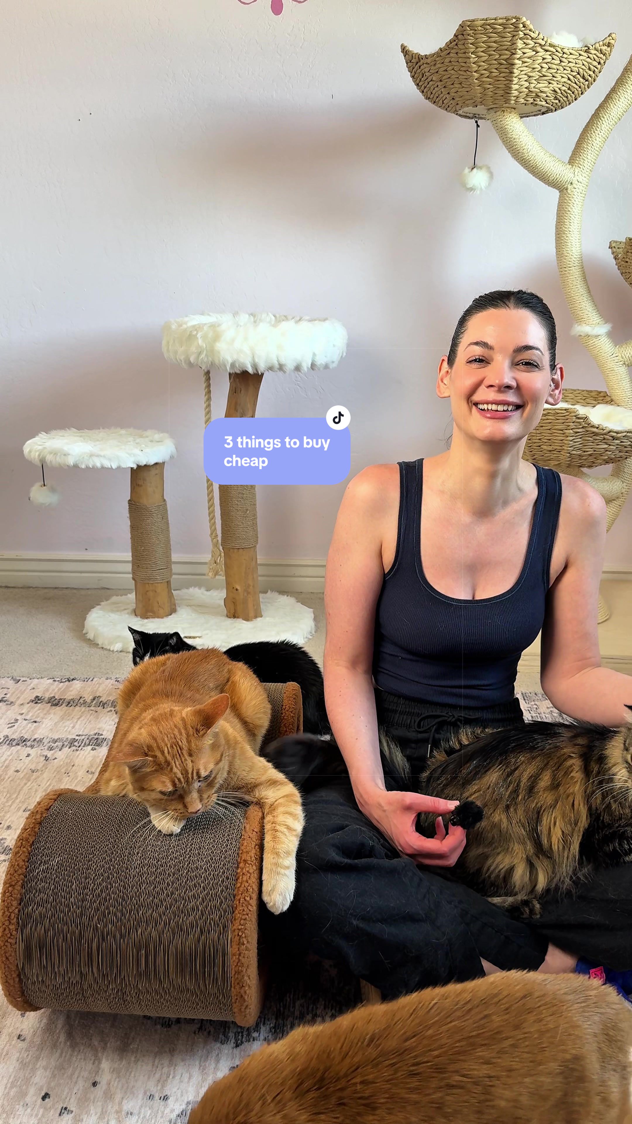 @Feminist Kitty | Cat Nutrition