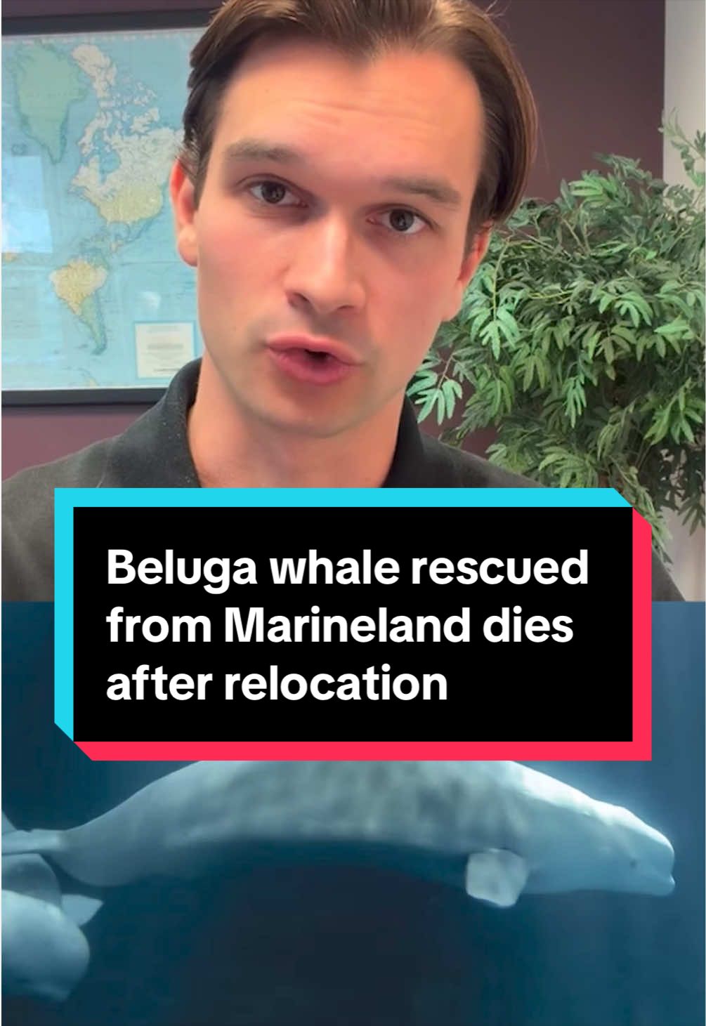 @cbsnews