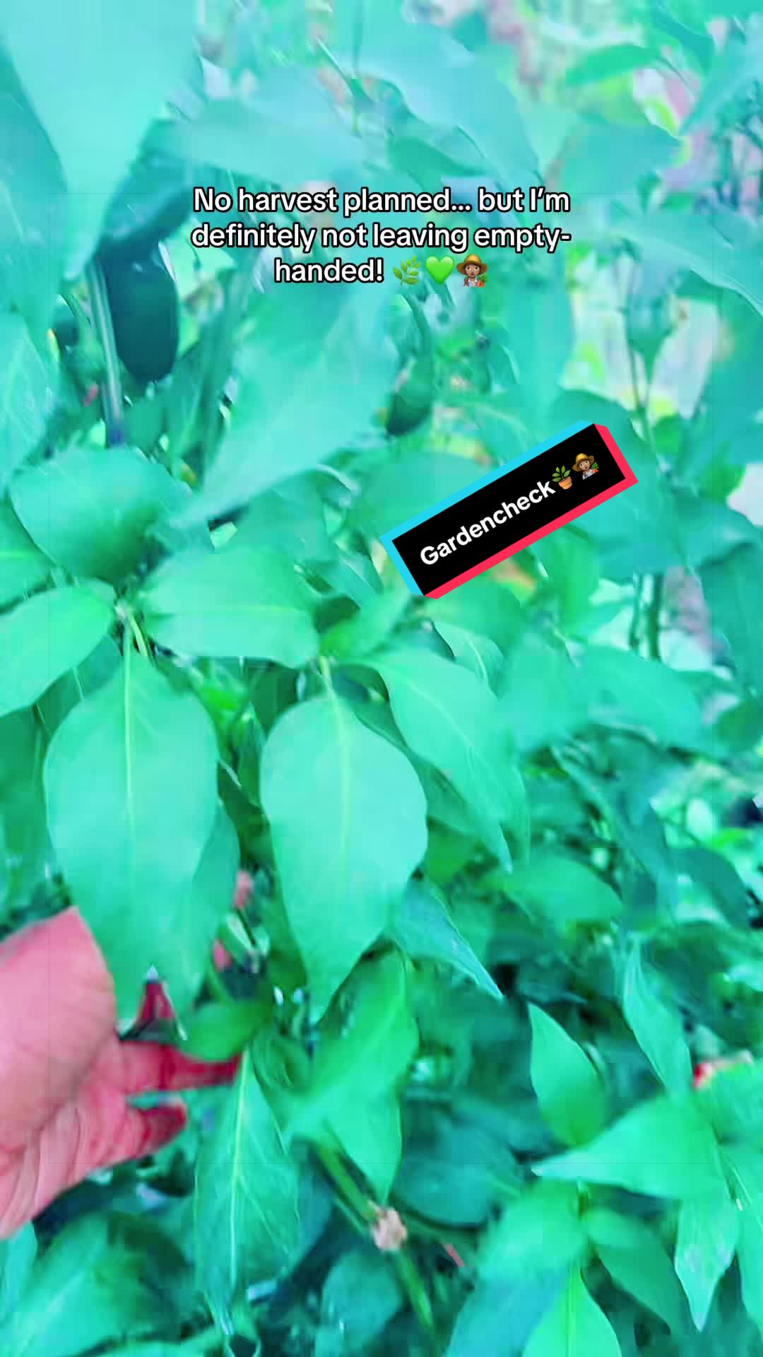 @TeeTee ❌♋️🦀