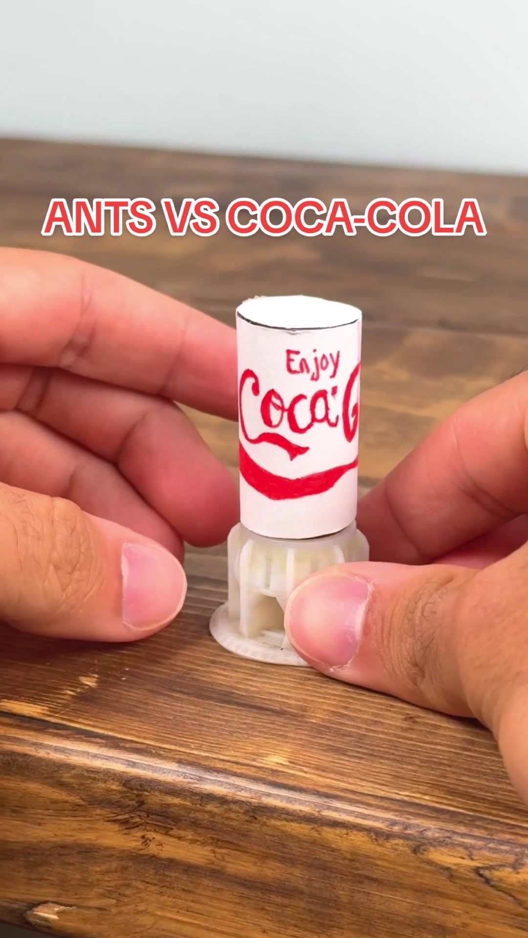 @Lights Camera Ants