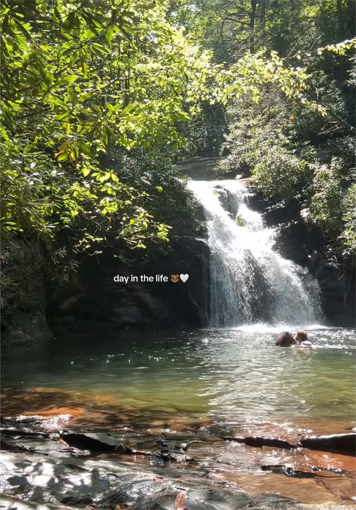 @NiyaNextDoor