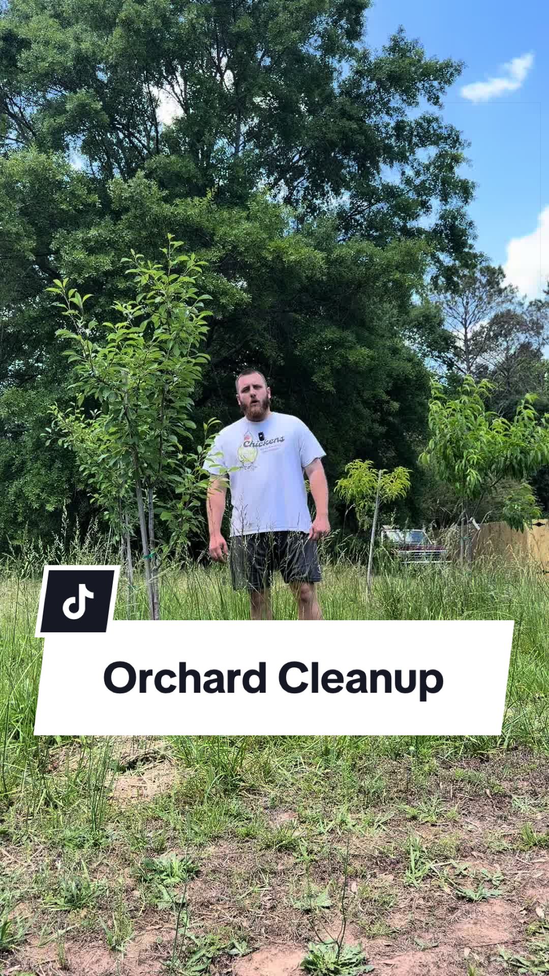 @Bandrhomestead