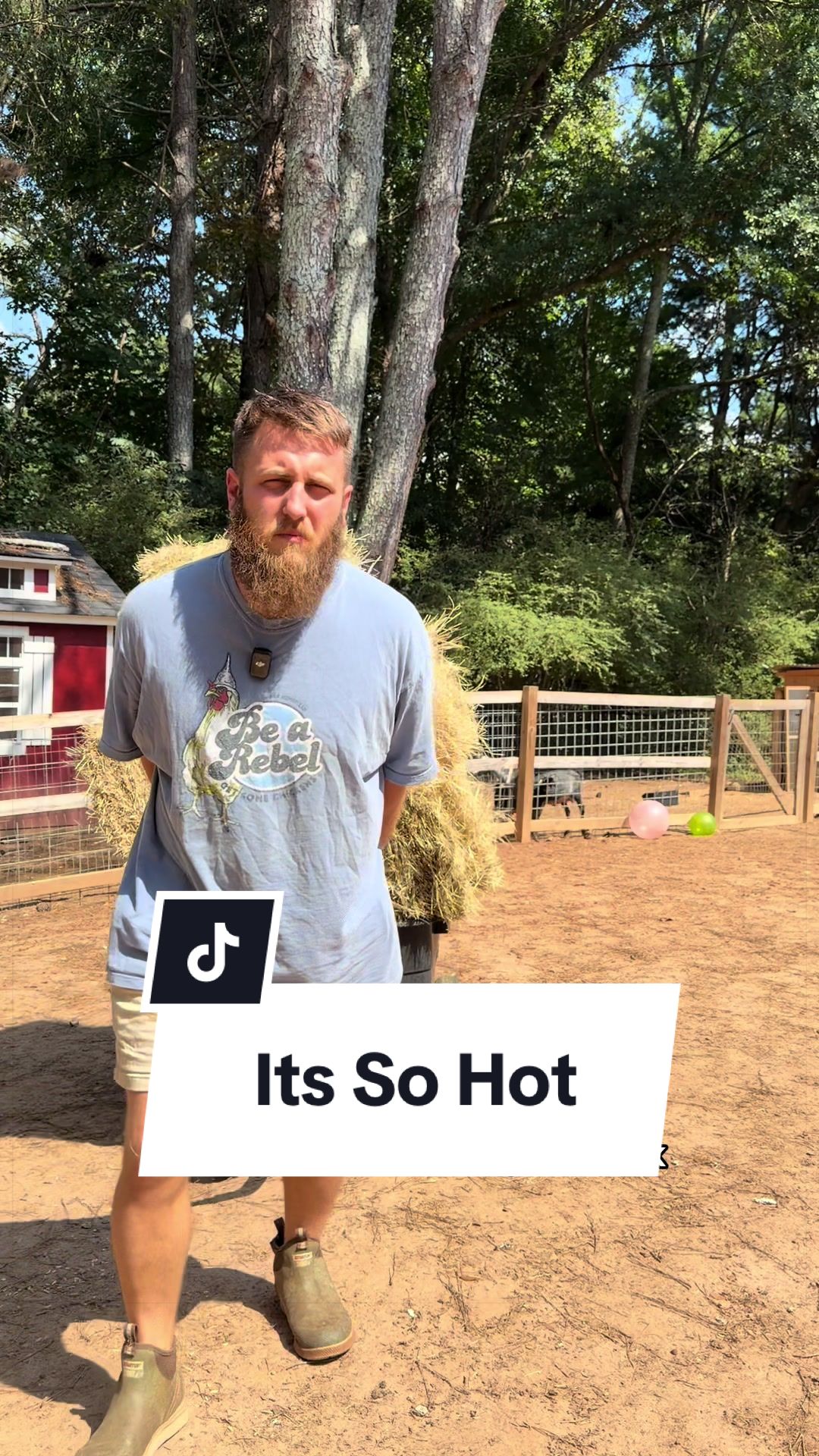 @Bandrhomestead