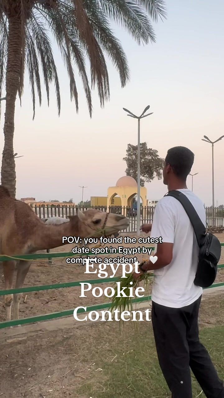 @Nour Khalil