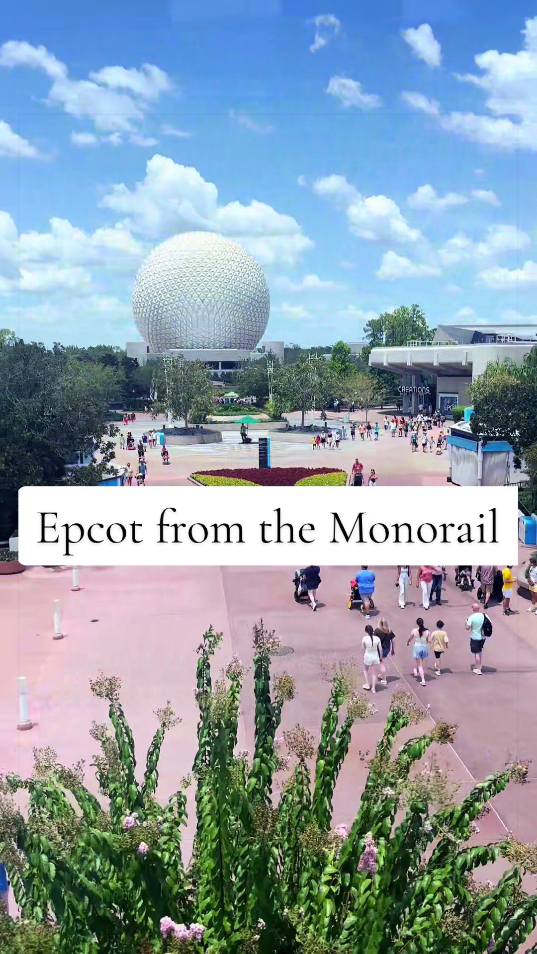 @disneypark_photos