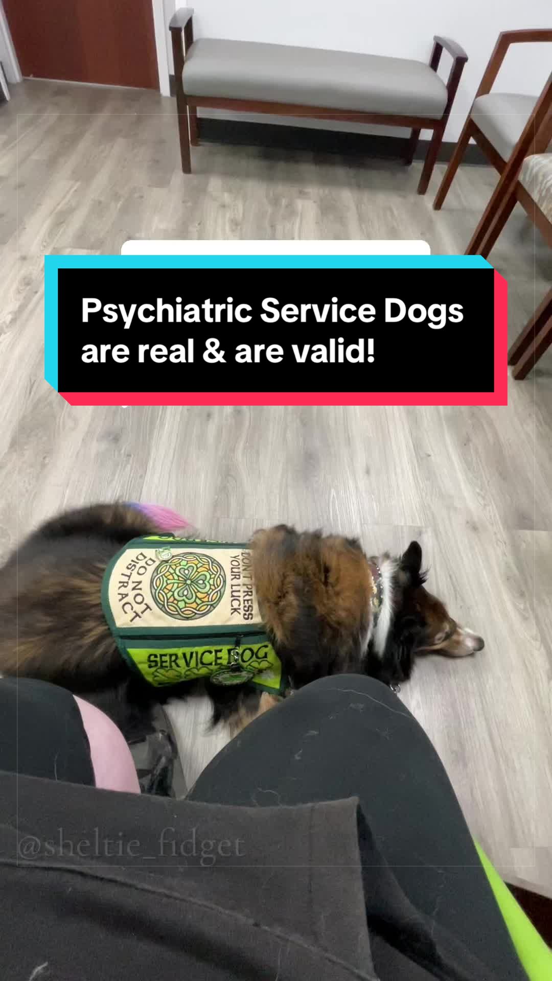 @Dakota & Pups
