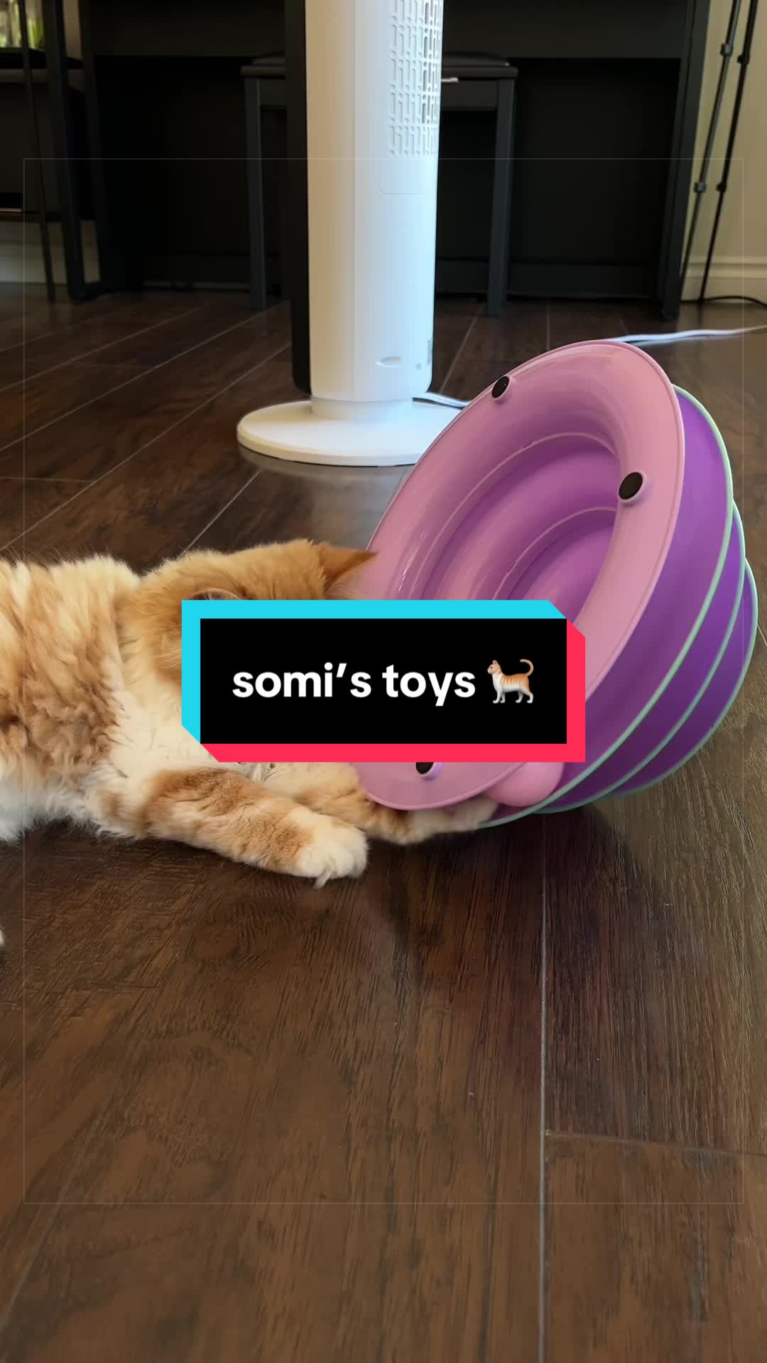 @somithepersian