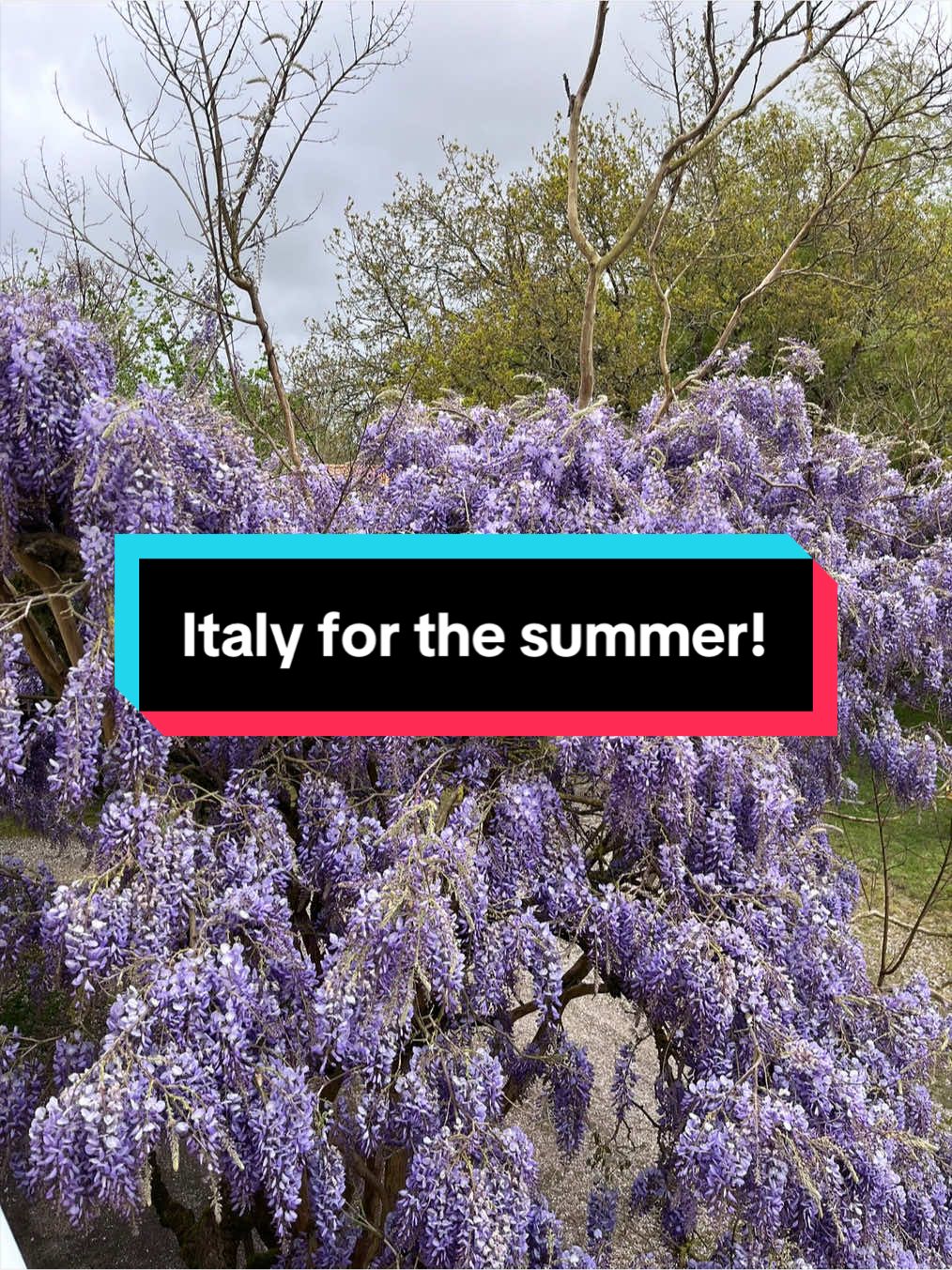 @Rome Abroad | Au Pair Agency