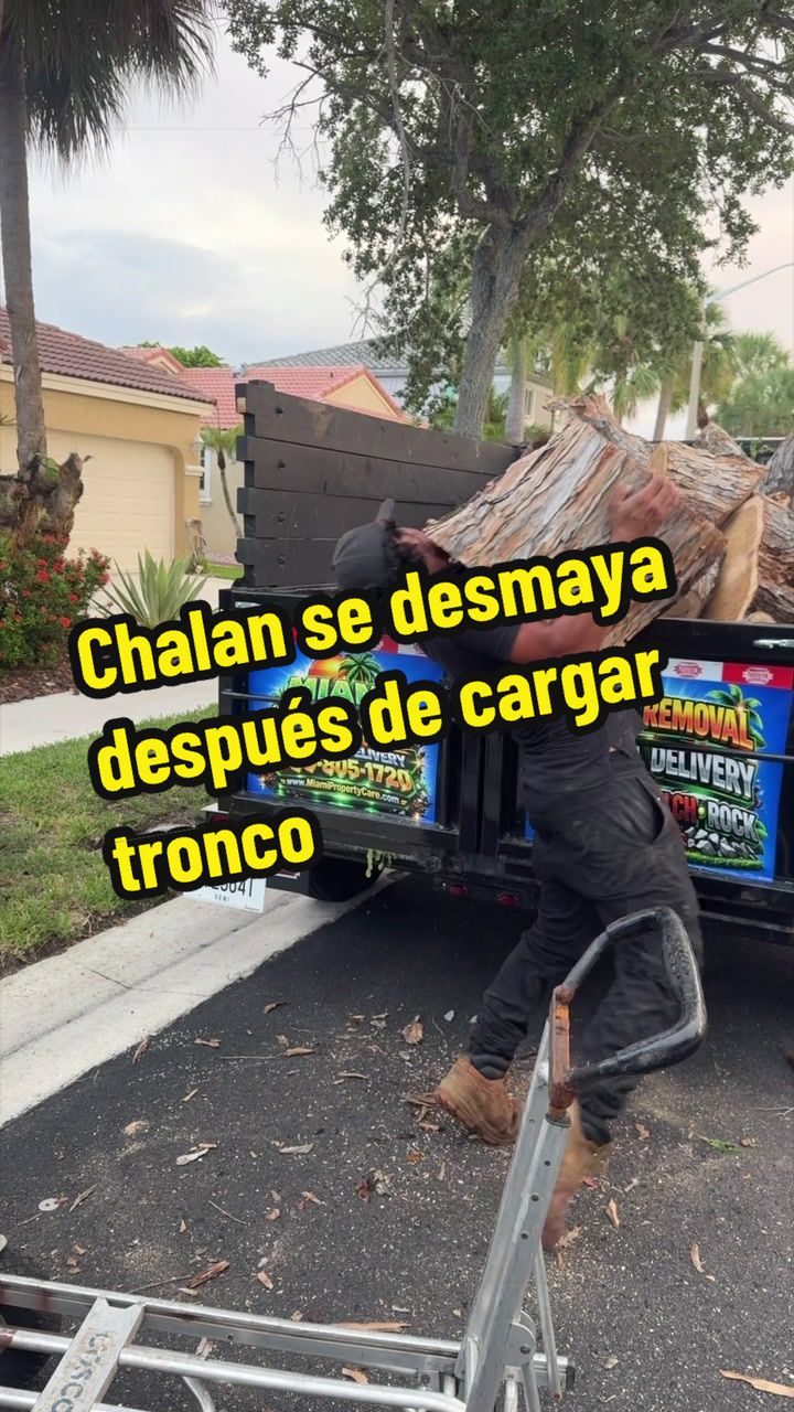 @Franco Tree Service Pro