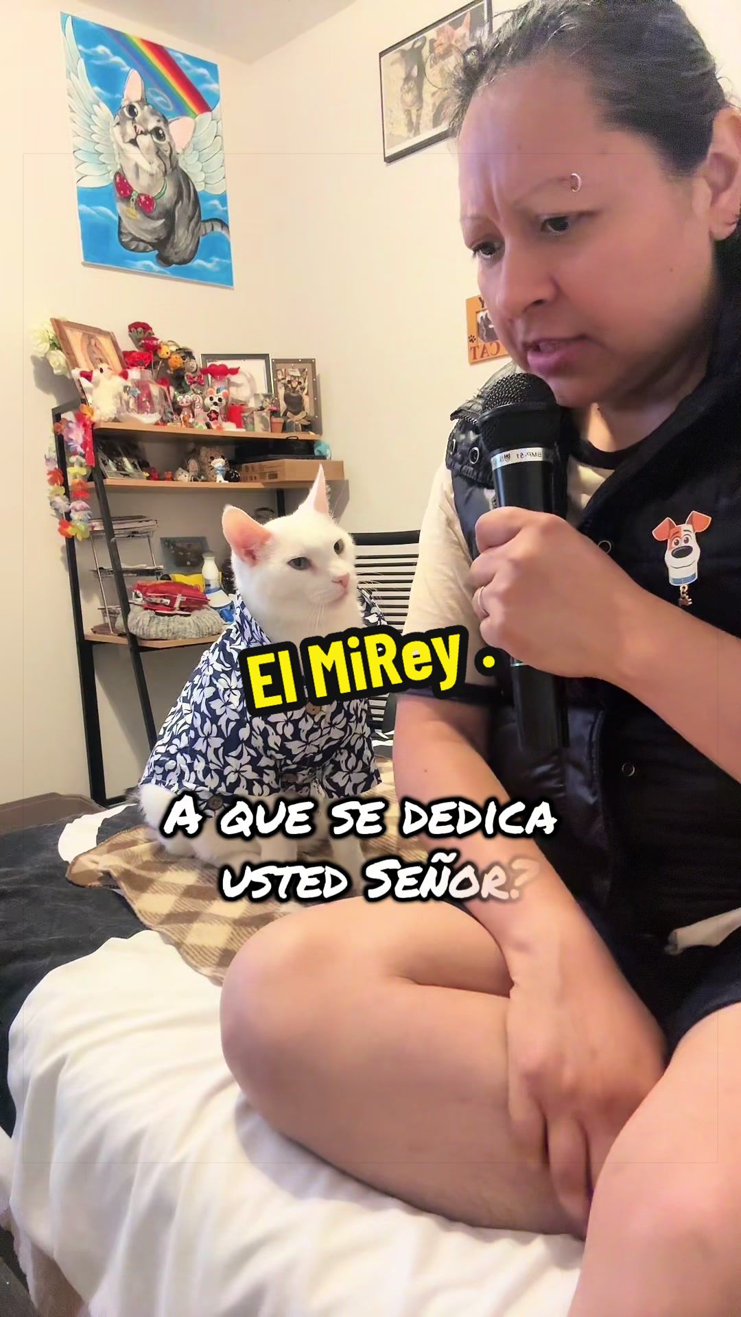 @🦖 MEOWassic World 🌎
