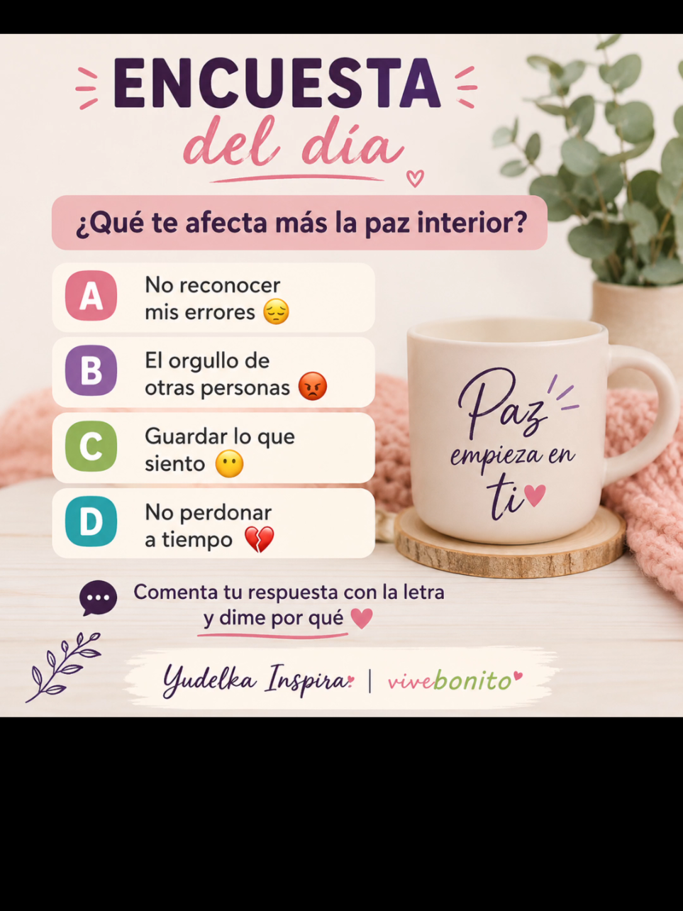 @Vivebonito