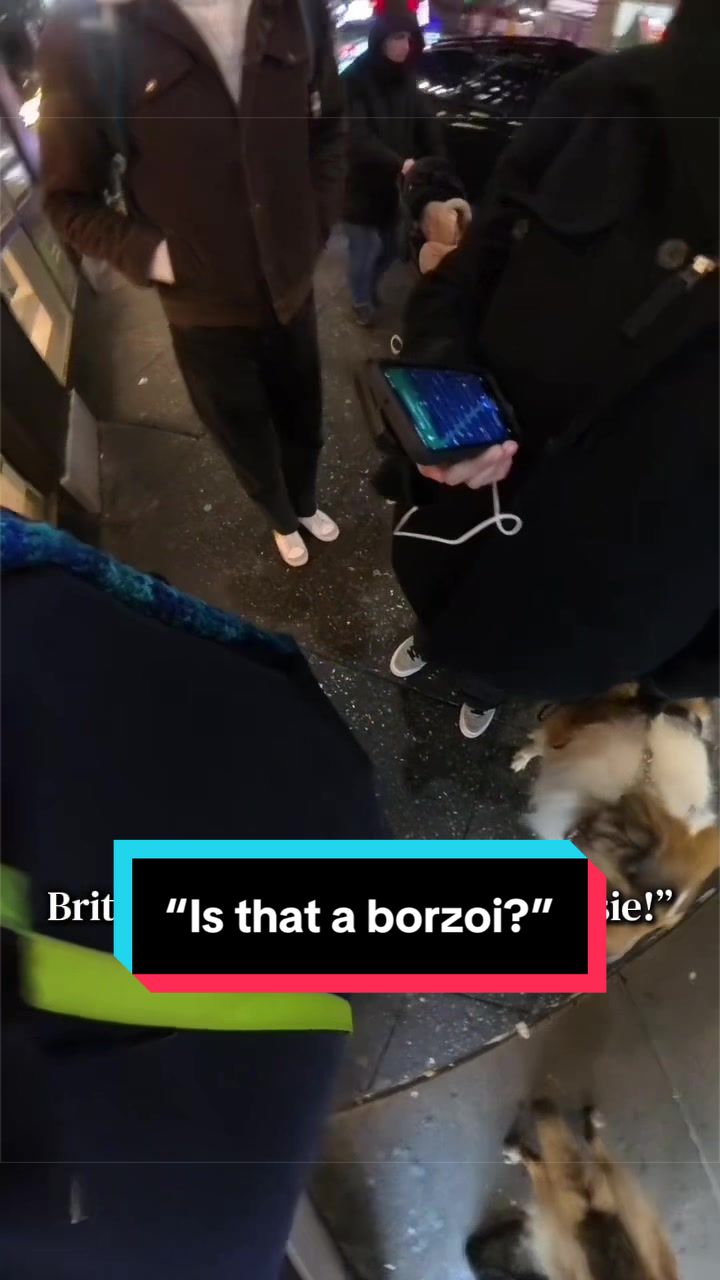@Dakota & Pups