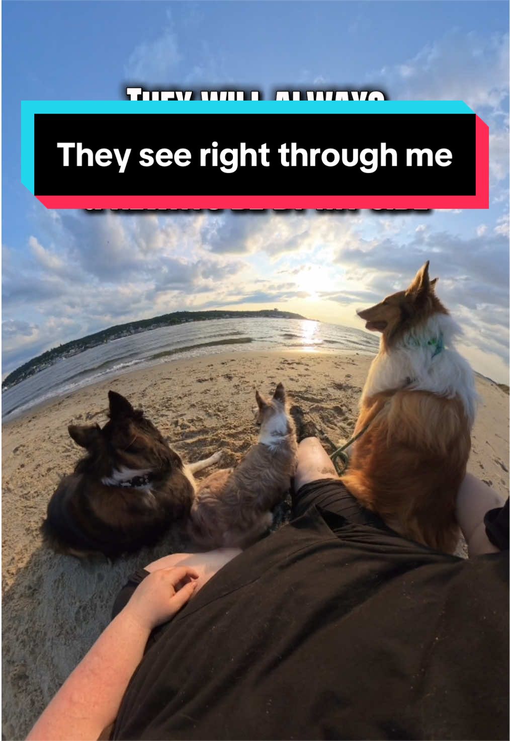 @Dakota & Pups