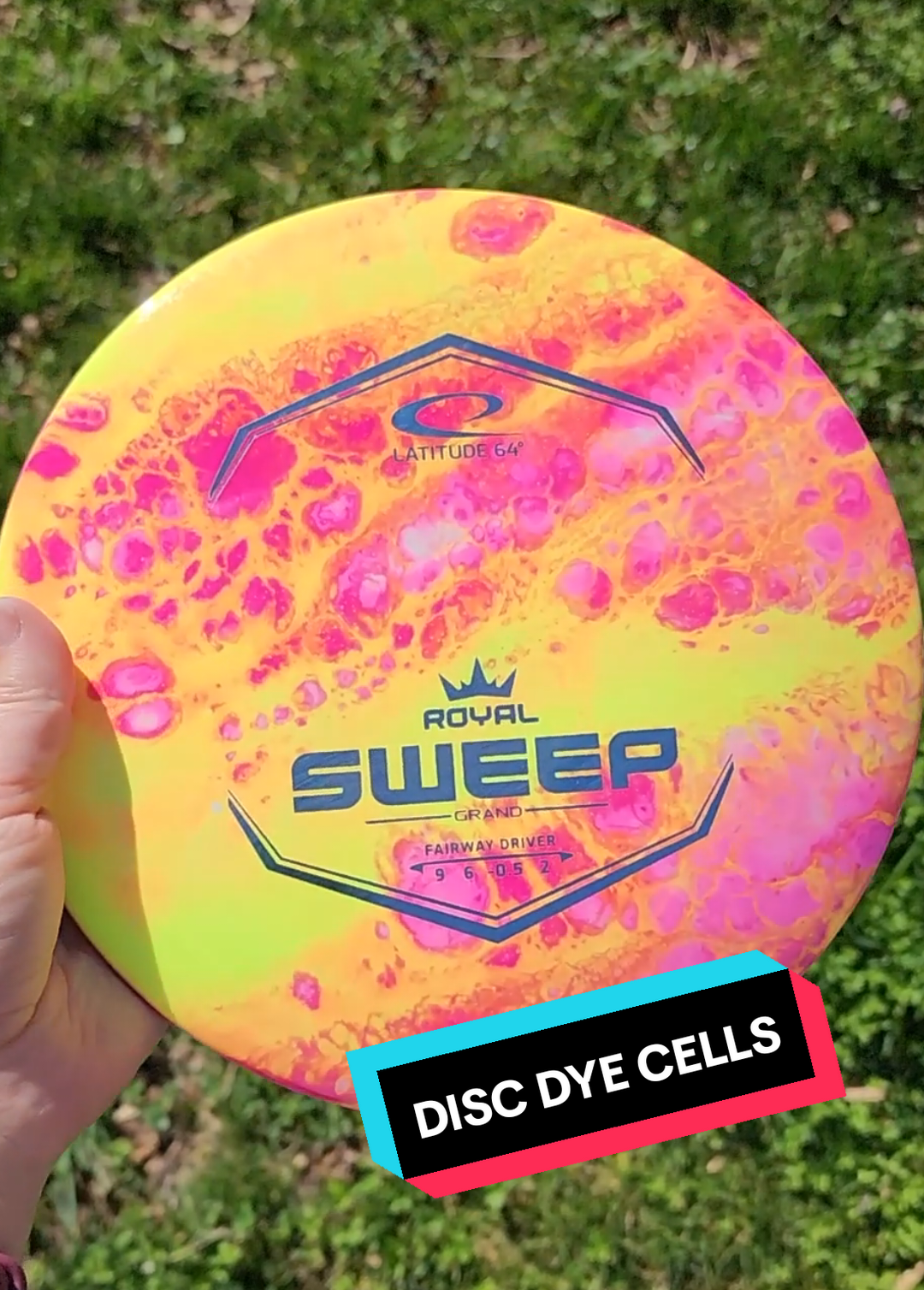 @DiscDyesByMelissa