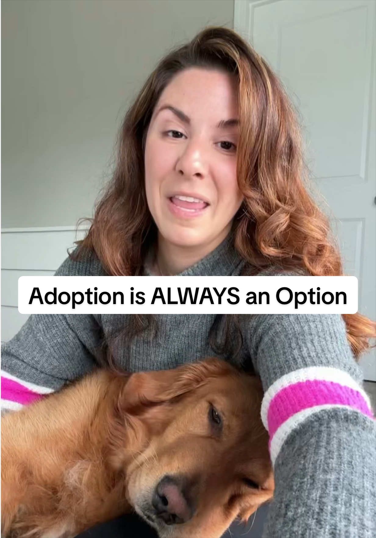 @AngelAdoption