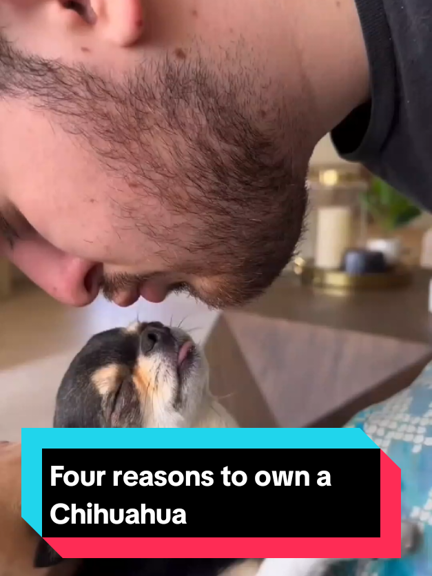 @The pet post
