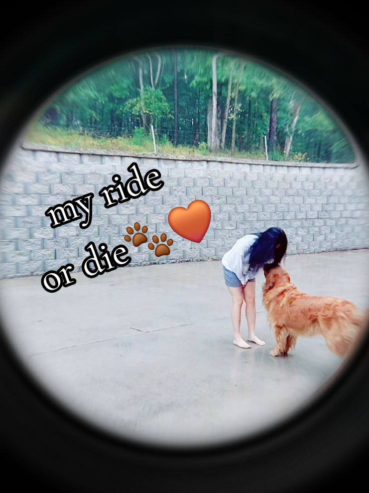 @Kat_urAmiga๐ฆ๐พโก