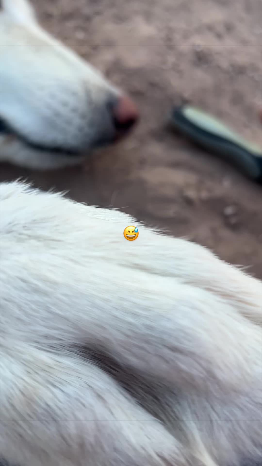 @KeeperOfTheWolves