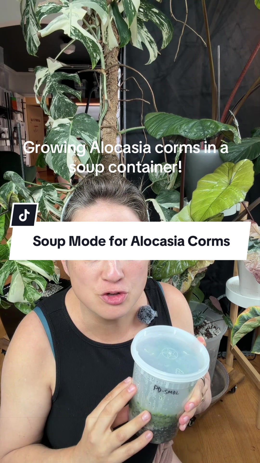 @alltheplantbabies