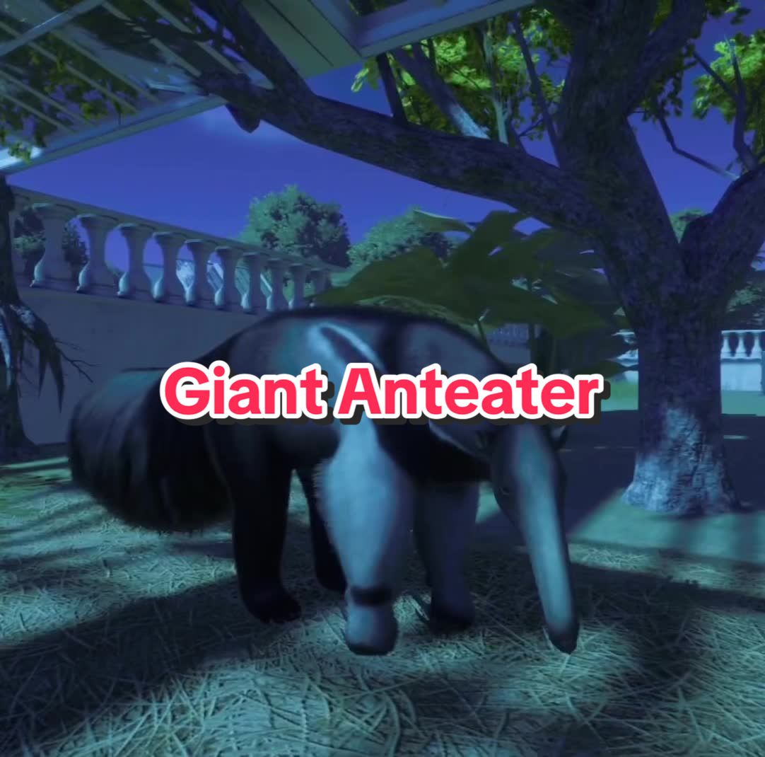 @Planetz00
