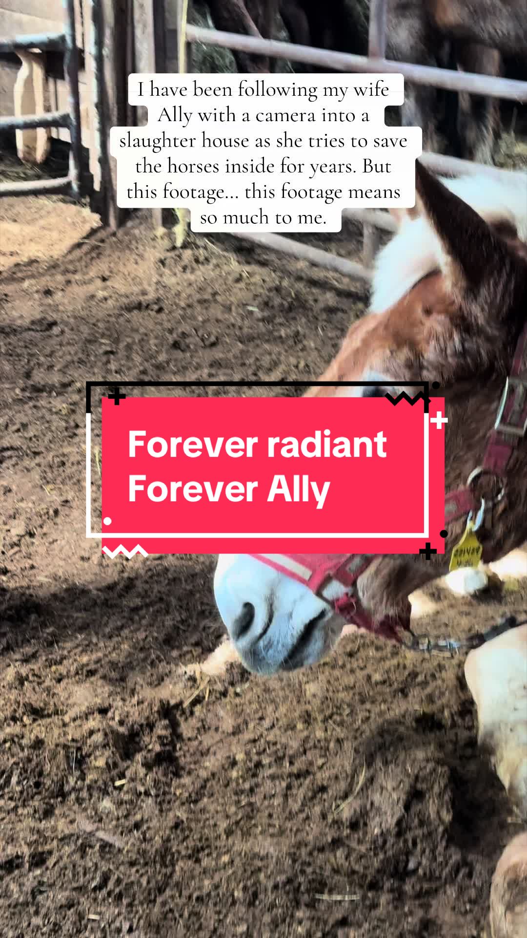 @Colby’s Crew Rescue