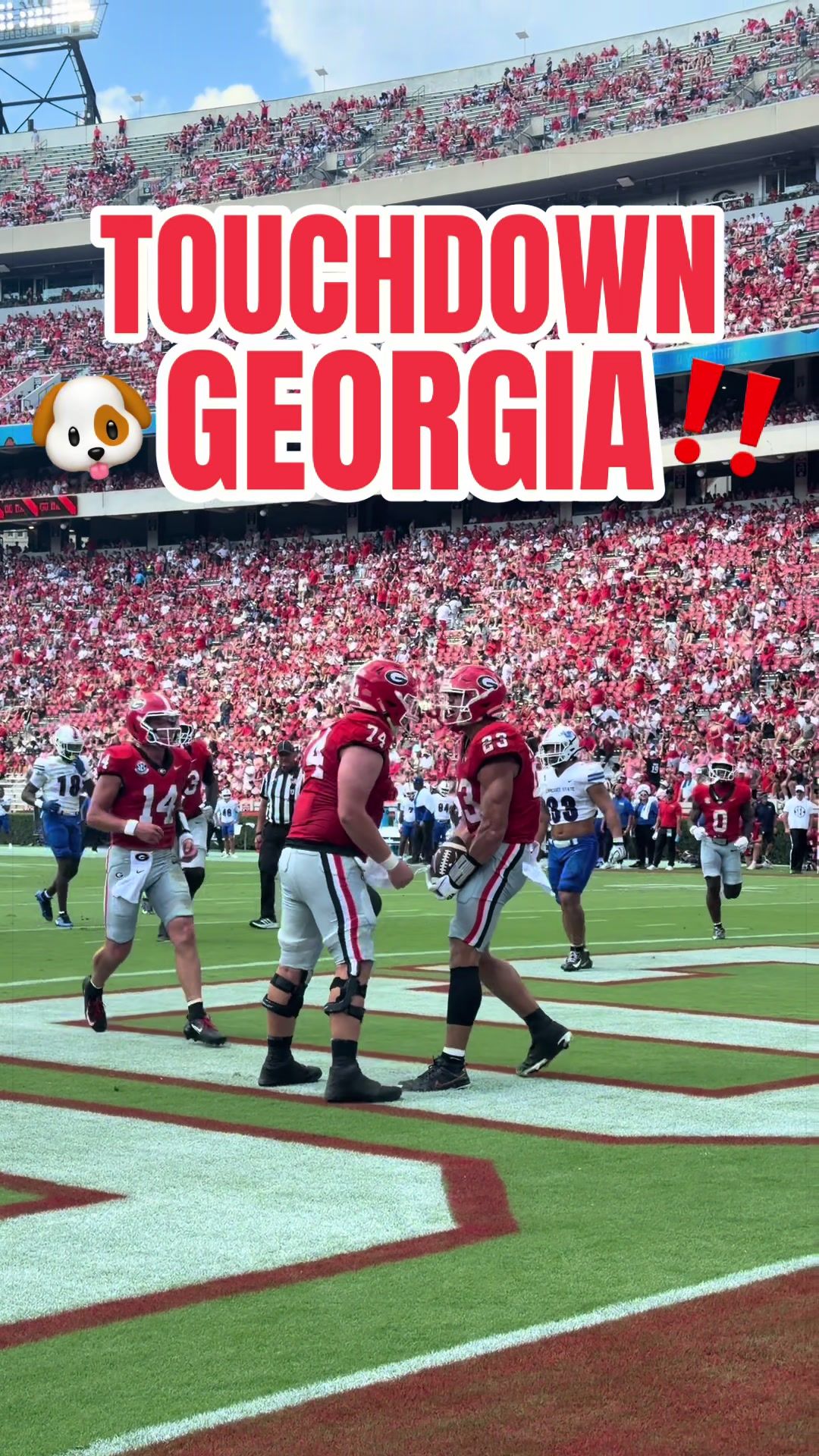 @Georgia Football