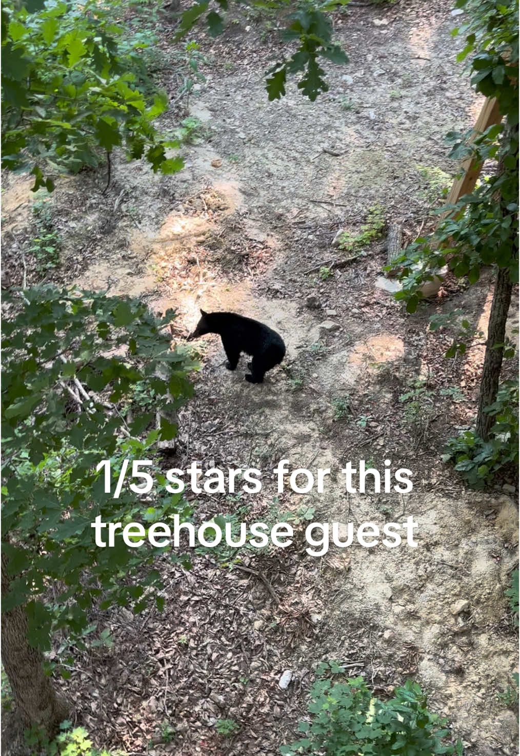 @The Treehouse Family