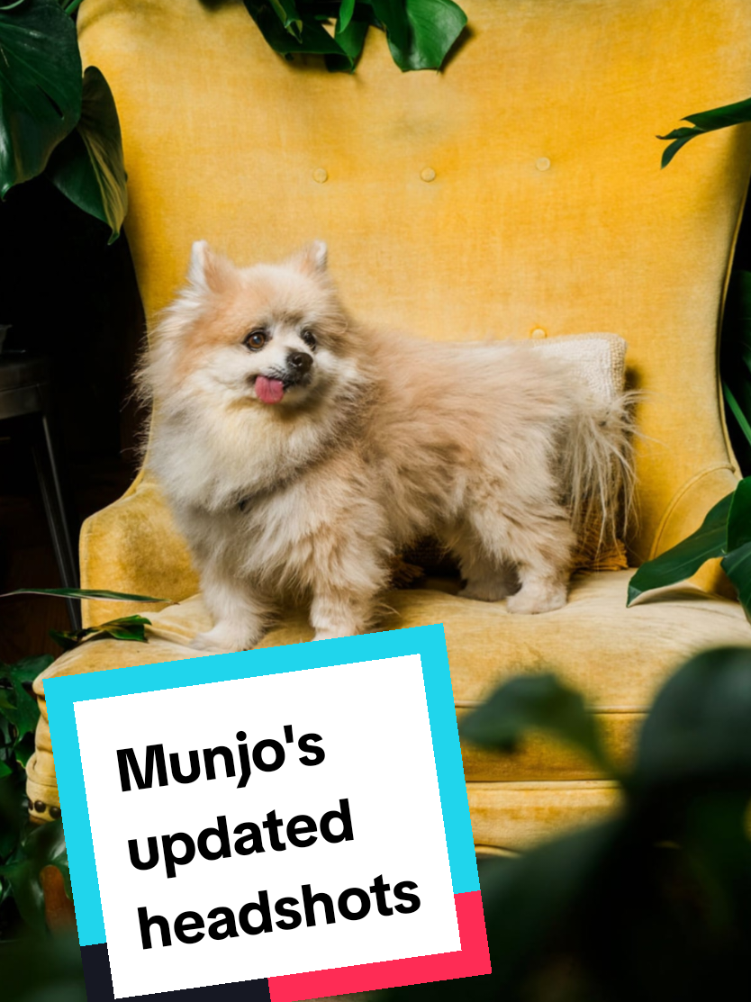 @M U N J O