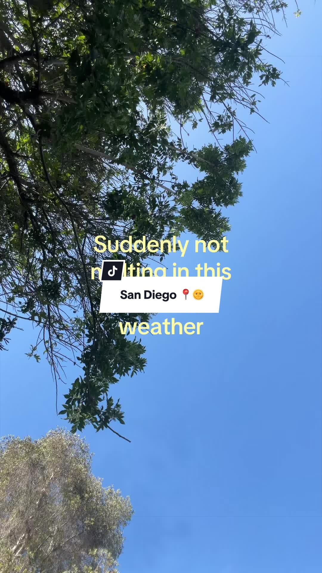 @Karla Garcia