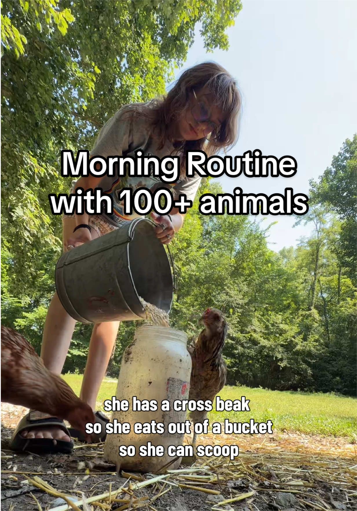 @Haley The Homesteader