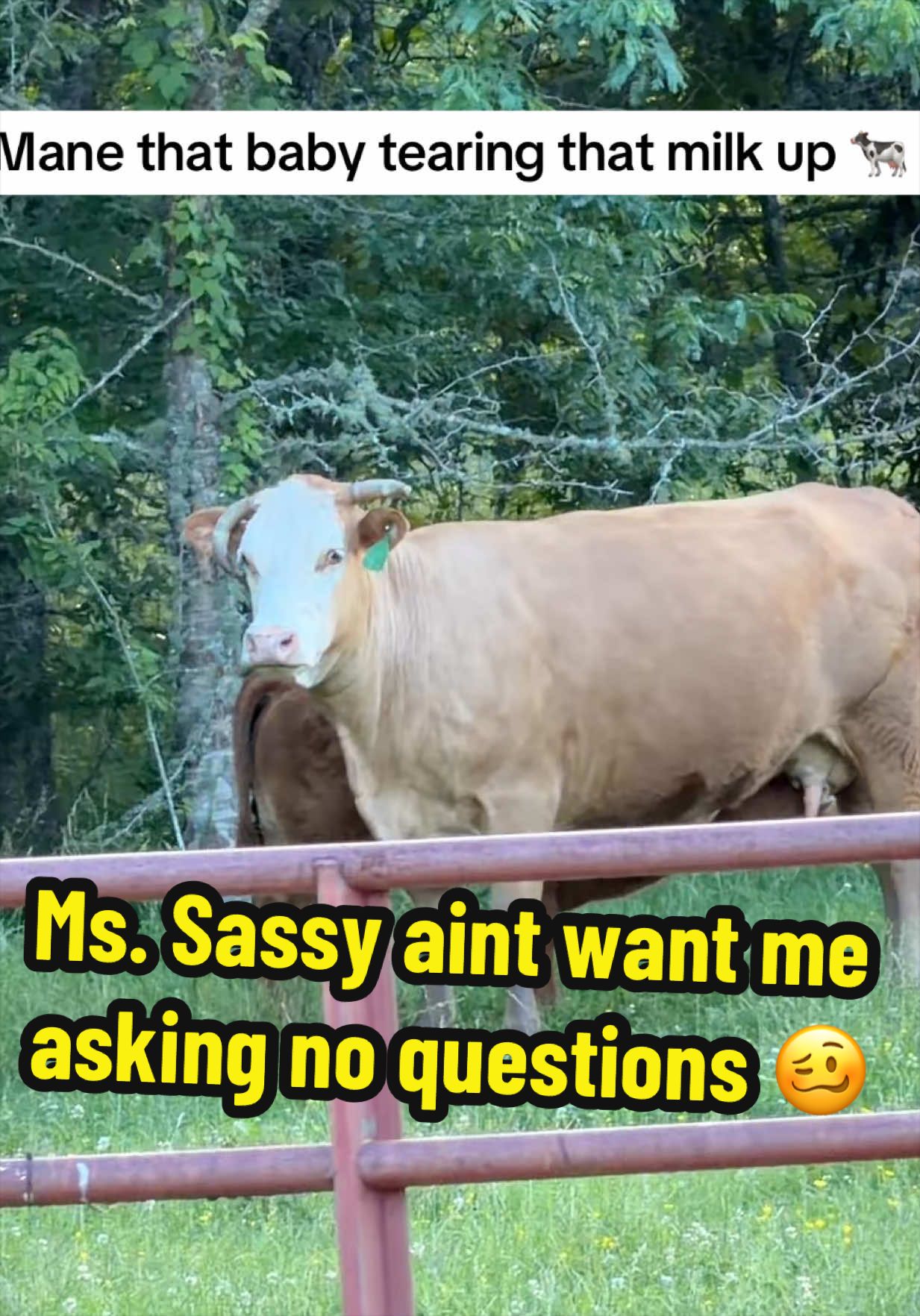 @bossdvincii
