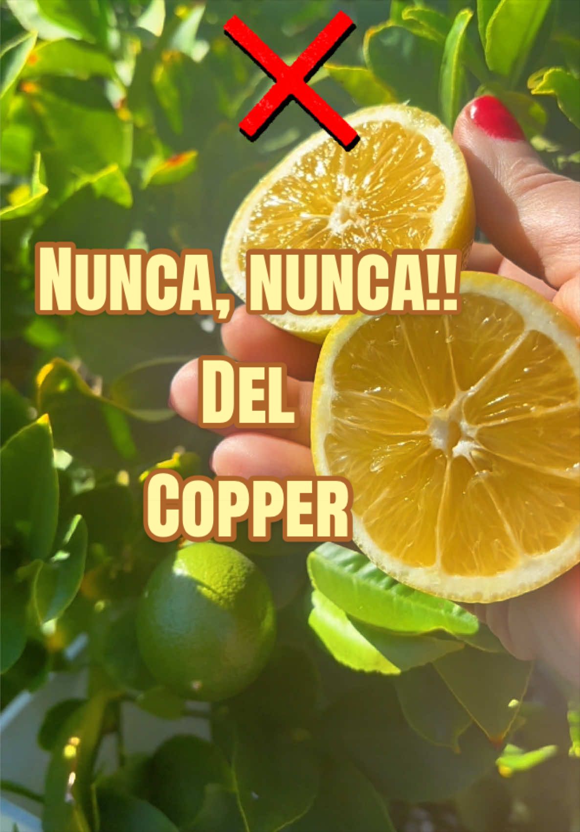 @Vane |Tips