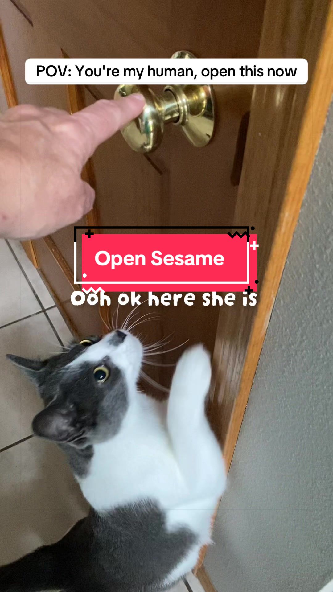 @Jen