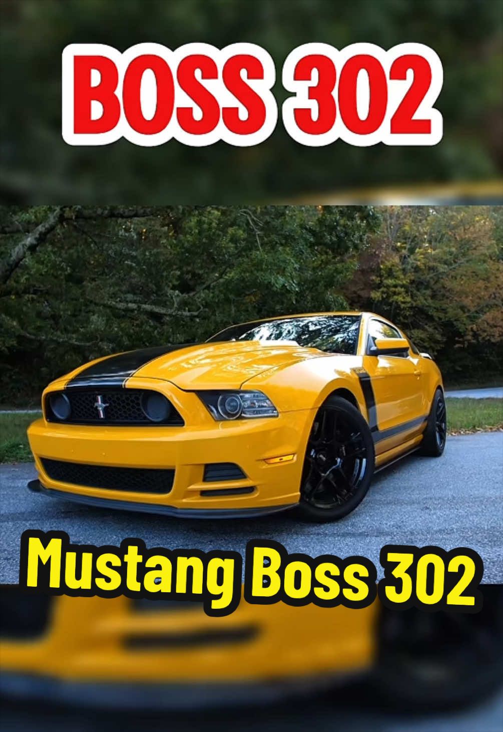 @TorqueHub🚘